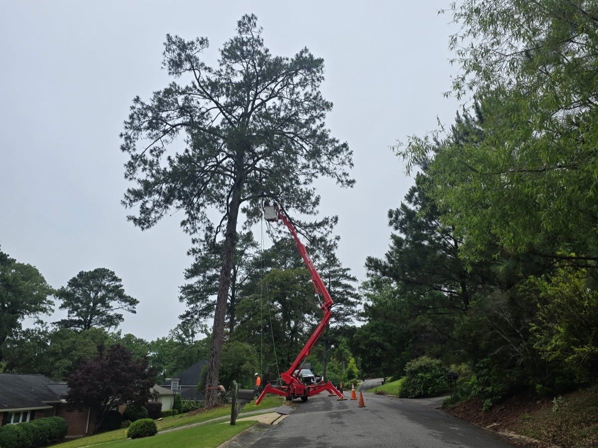 Romero Landscaping